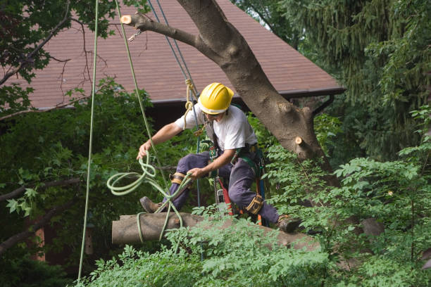 Best Weed Control  in West Milwaukee, WI